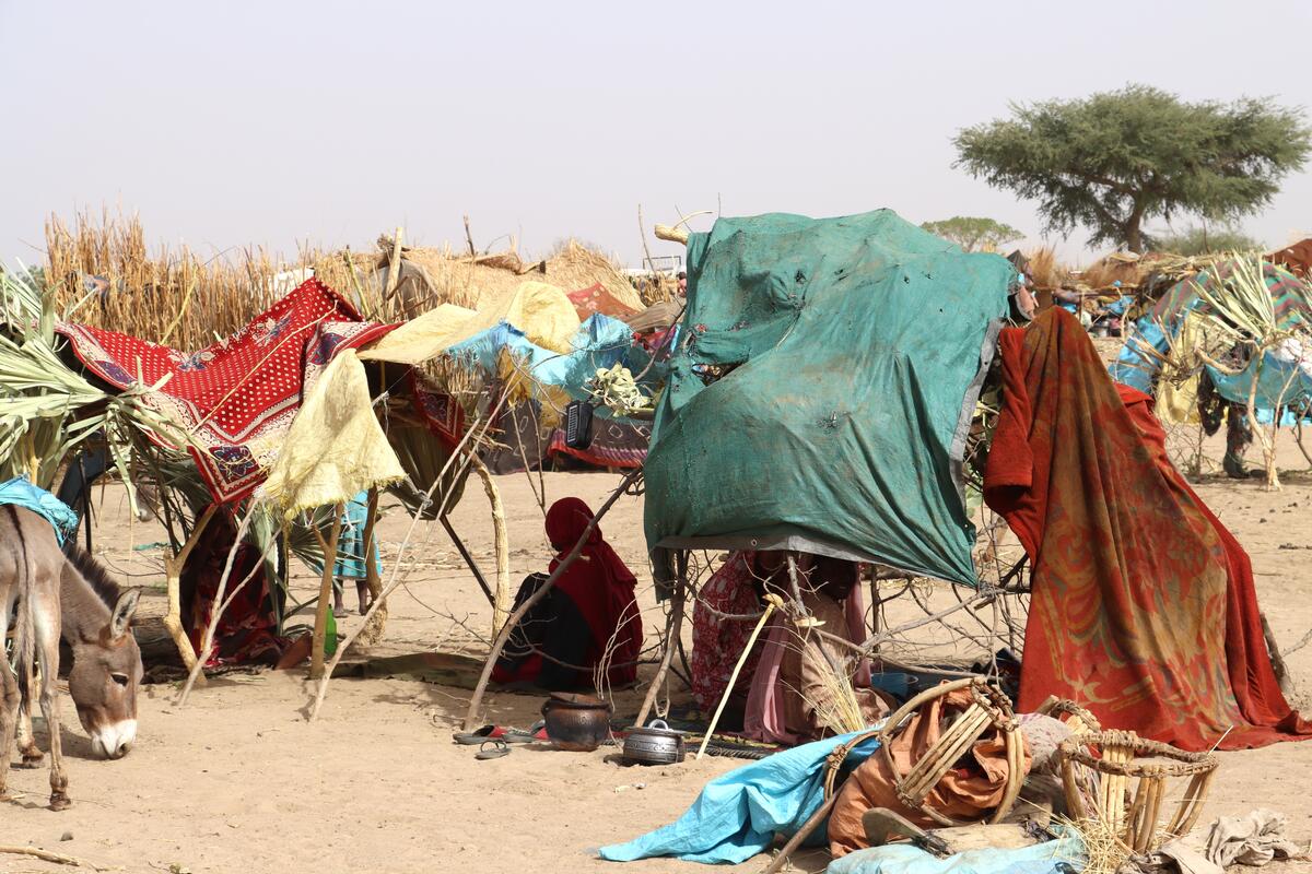 Des urgences sanitaires persistantes au Tchad