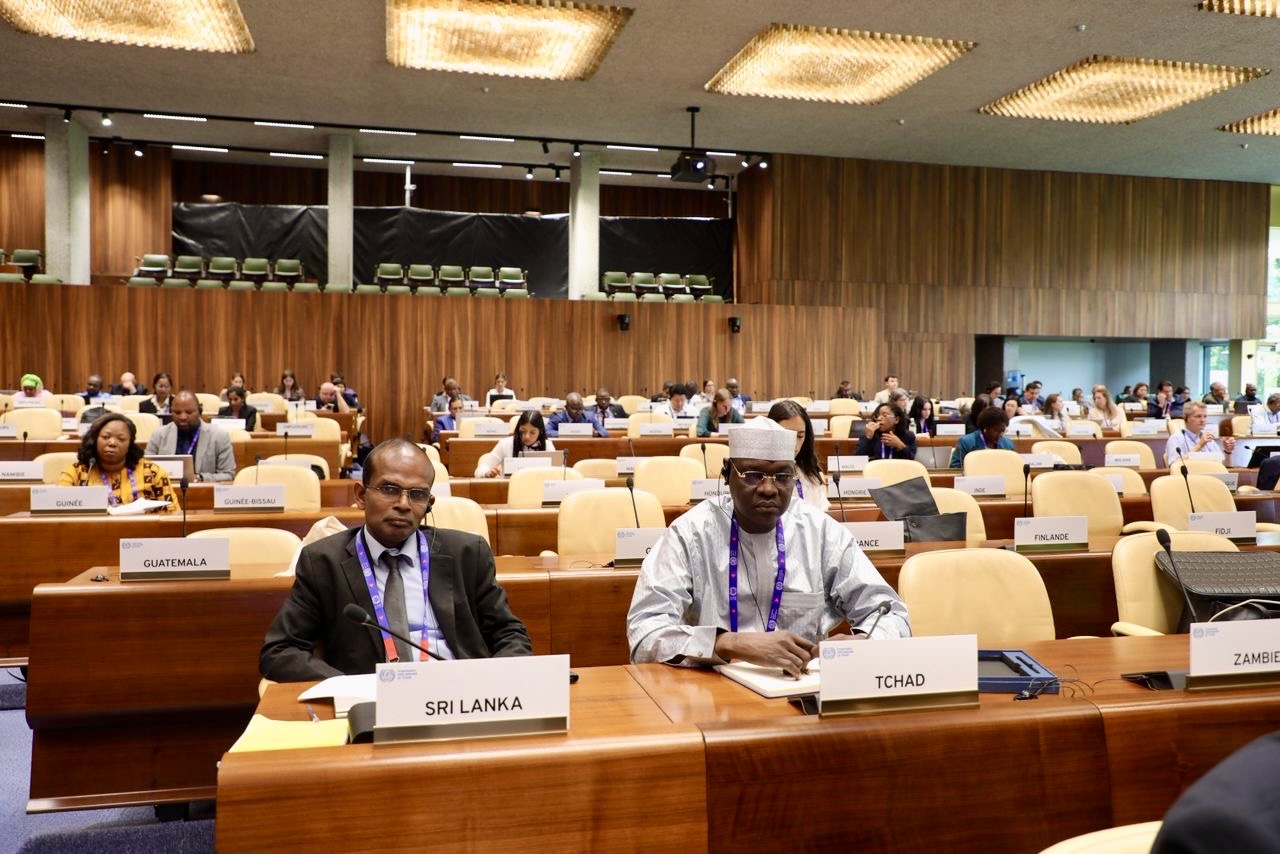 Conférence internationale du Travail : le Tchad sous le regard de la Commission des Normes