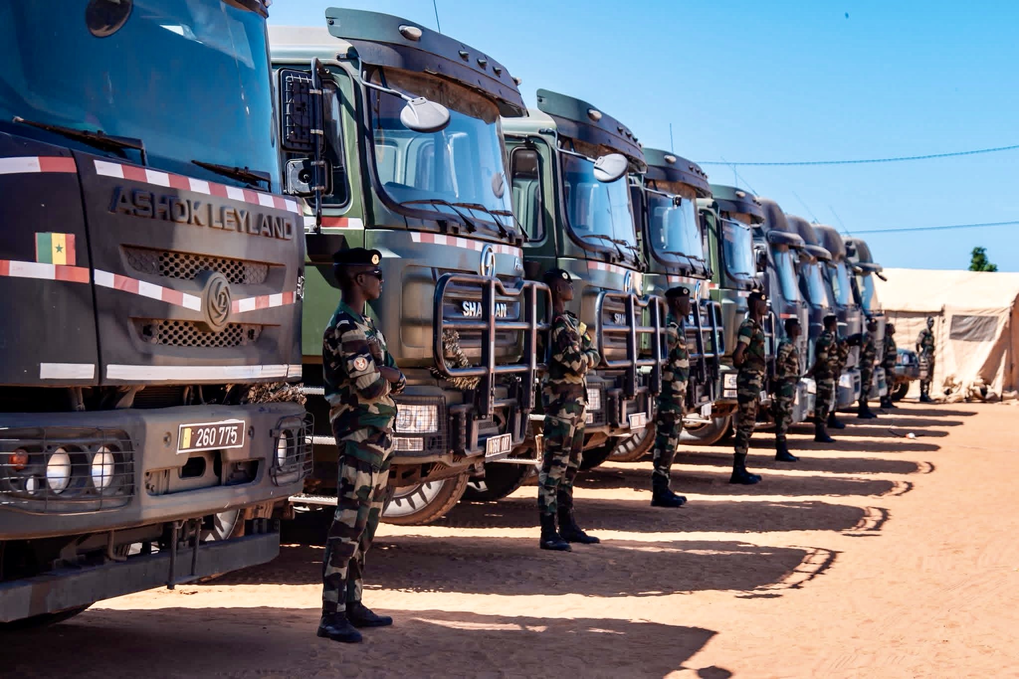 Sénégal : trois soldats perdent la vie lors d’une opération de destruction de champs de chanvre indien