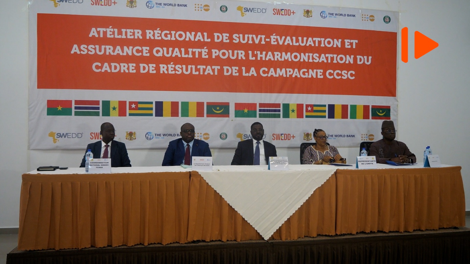 SWEDD+ : les experts de sept pays réunis à N’Djamena pour harmoniser les données sur le genre