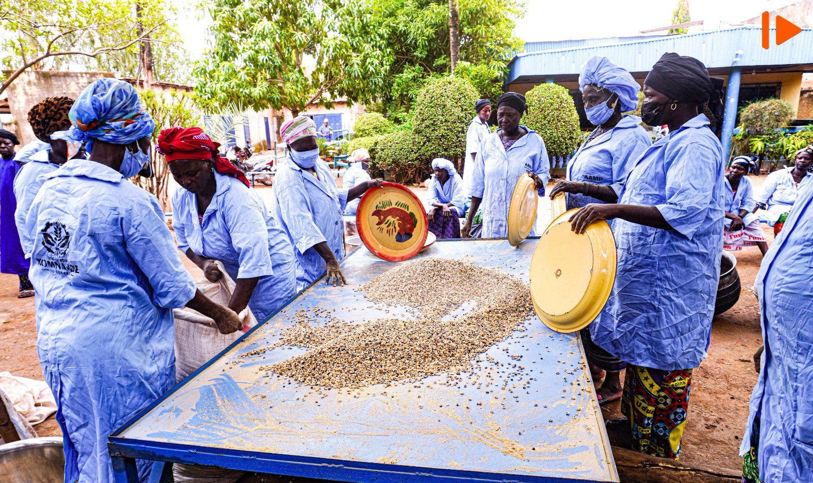 Moundou : des femmes font du néré un levier de revenus et de développement local