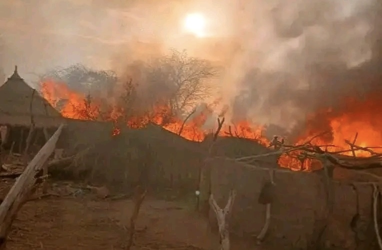 Guéra : plusieurs familles sinistrées après un violent incendie à Lougua