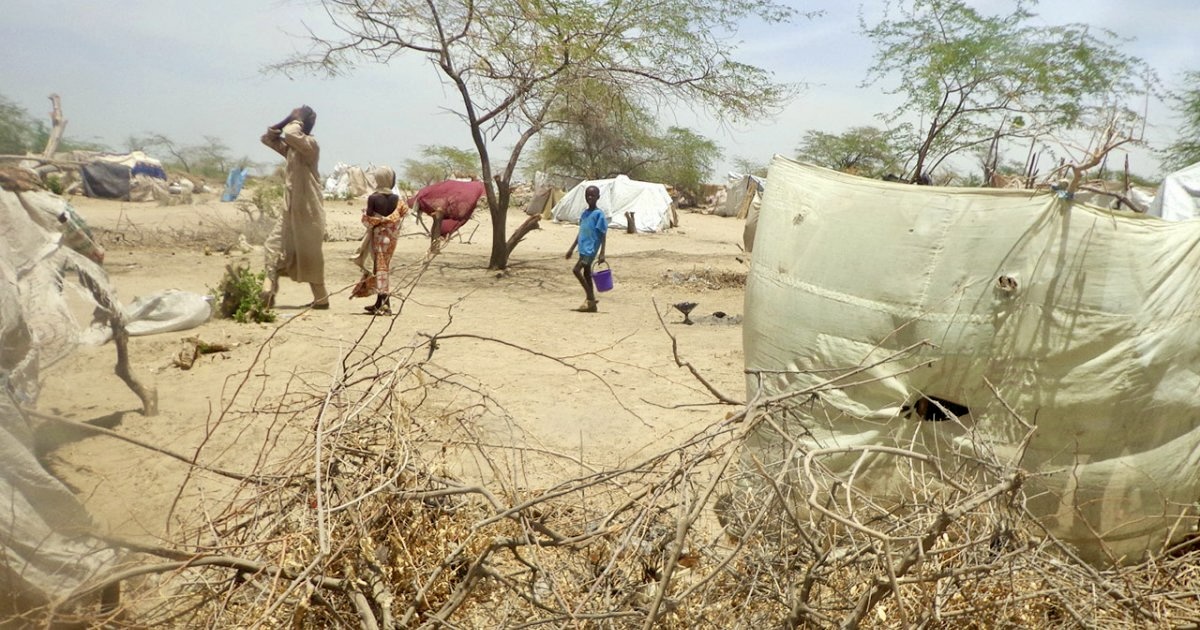 Tchad : Malgré le recul de la pauvreté, près de deux millions de Tchadiens restent en insécurité alimentaire