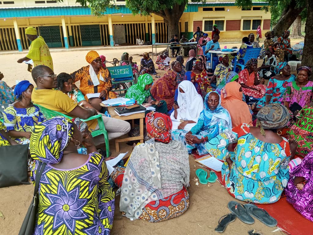 Moyen-Chari : les femmes s’organisent pour conquérir les marchés de la mangue et du karité