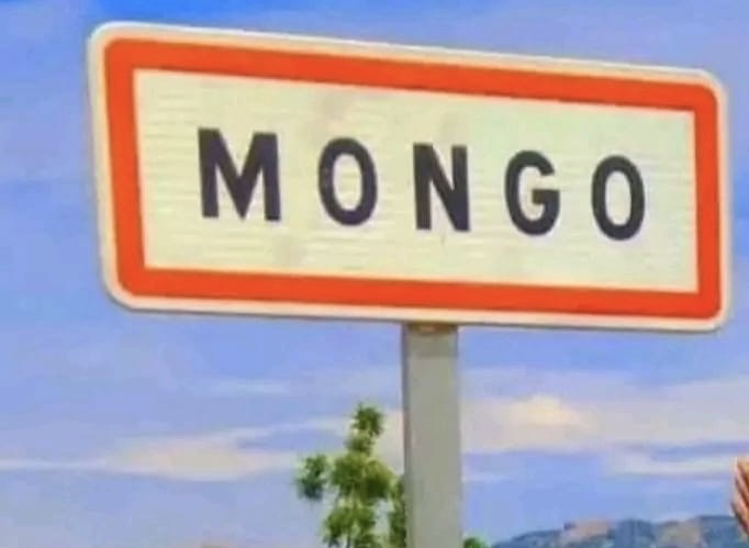 Mongo : un jeune homme d’environ 25 ans retrouvé mort après une noyade à Bangadjira