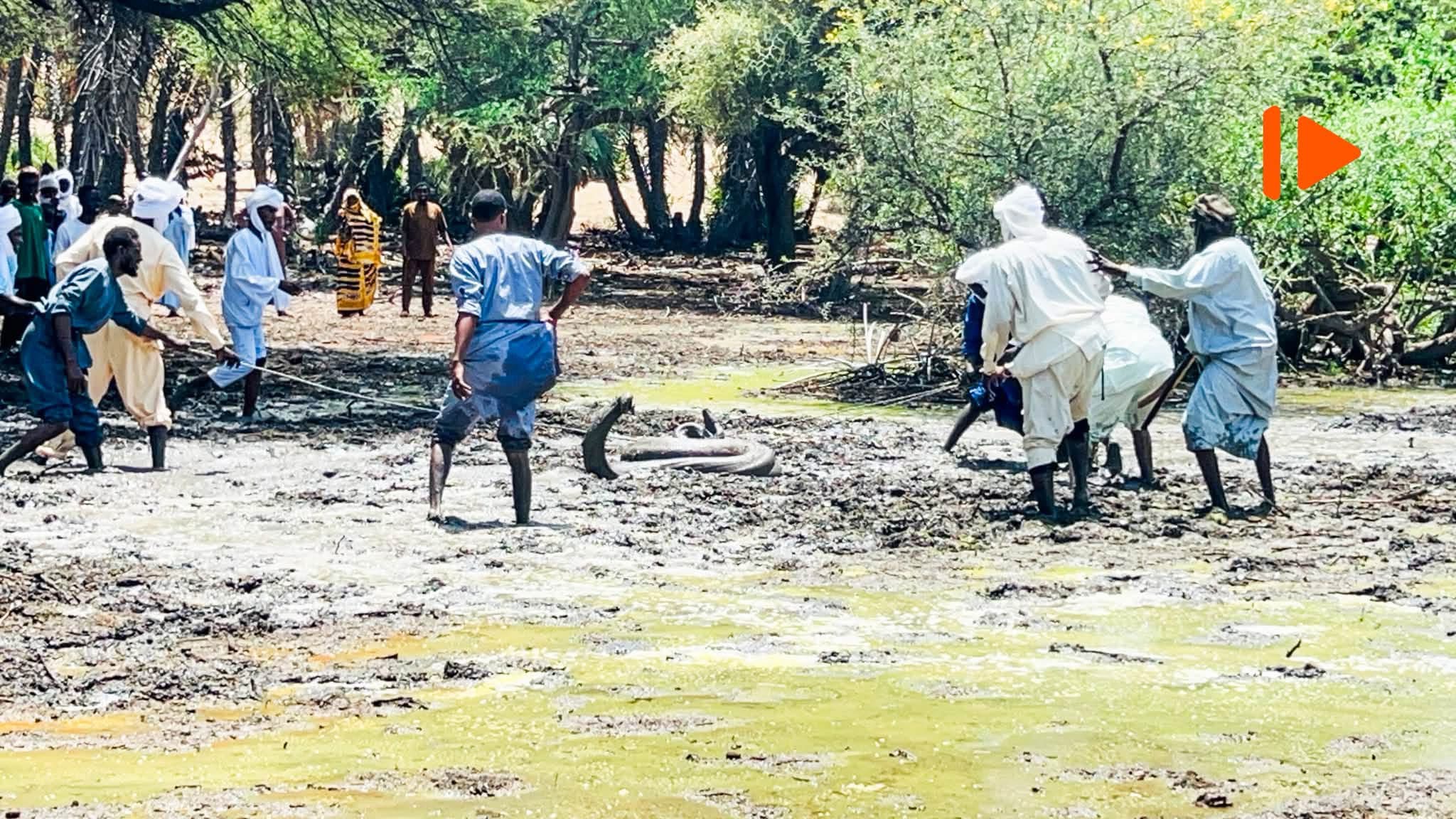 Kanem : un python capturé à Mondo et transféré vers le parc national de Zah Soo
