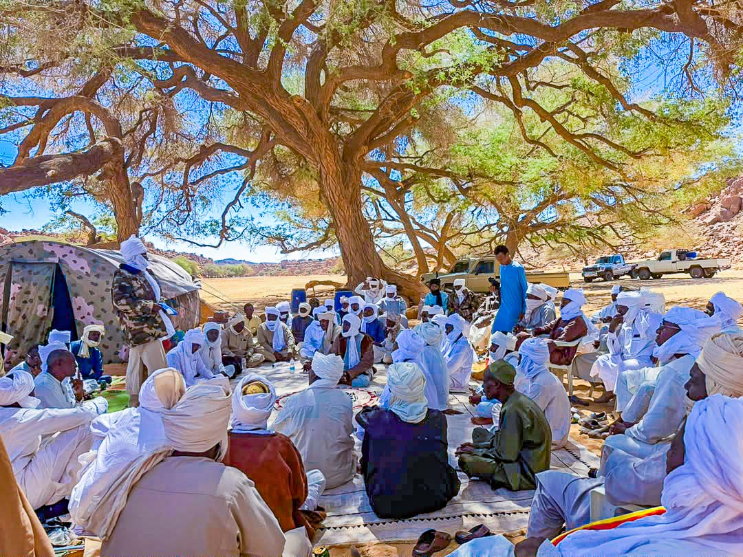 Ennedi-Est: l’Association pour le développement de Bao se mobilise pour le développement local et la valorisation du patrimoine
